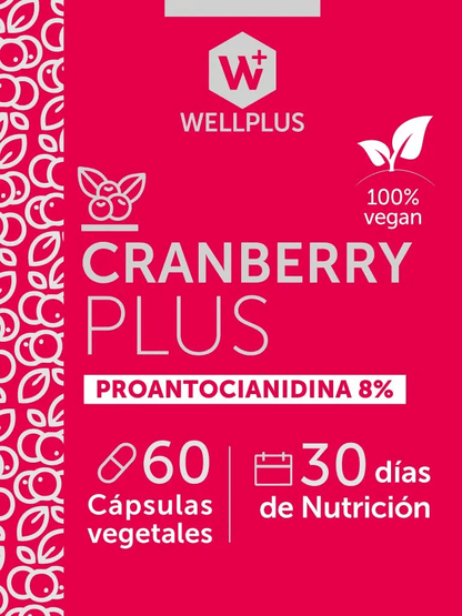Cranberry plus 500mg 60caps Wellplus