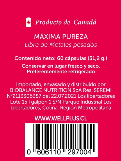 Cranberry plus 500mg 60caps Wellplus
