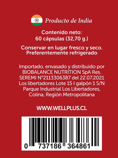 Iron plus liposomal 60caps Wellplus